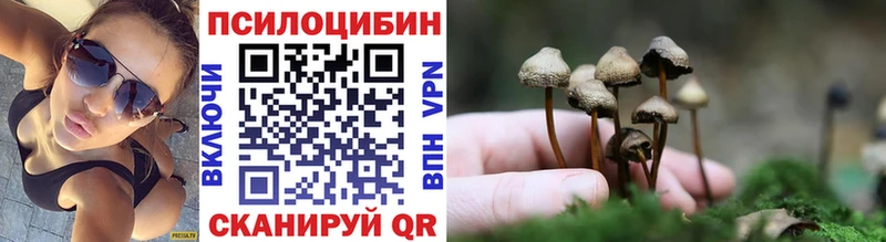 купить закладку  Удачный  Псилоцибиновые грибы Magic Shrooms 